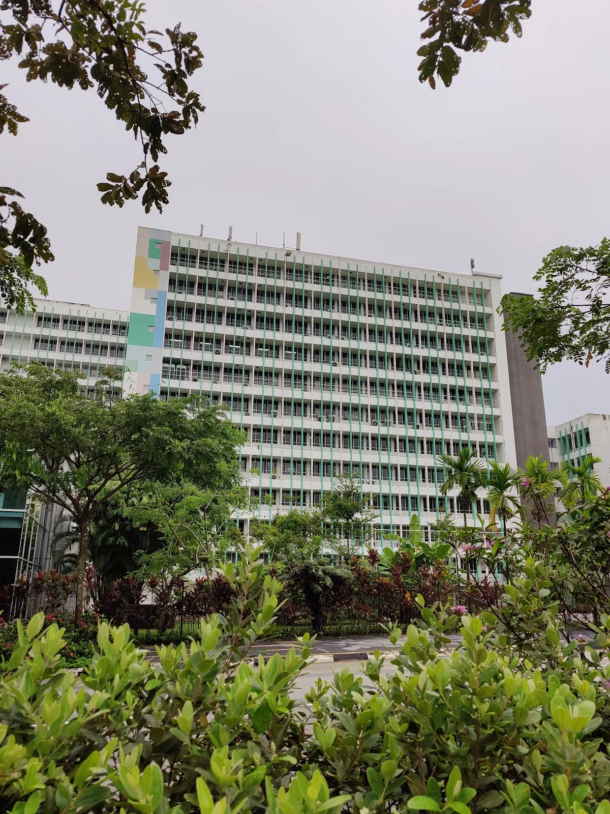 Singapore Environment Council
