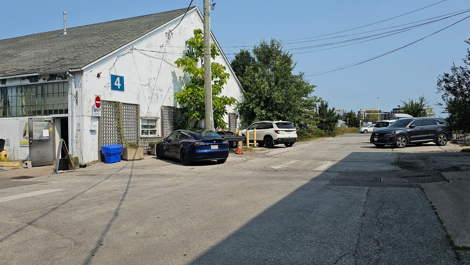 Toronto Wildlife Centre