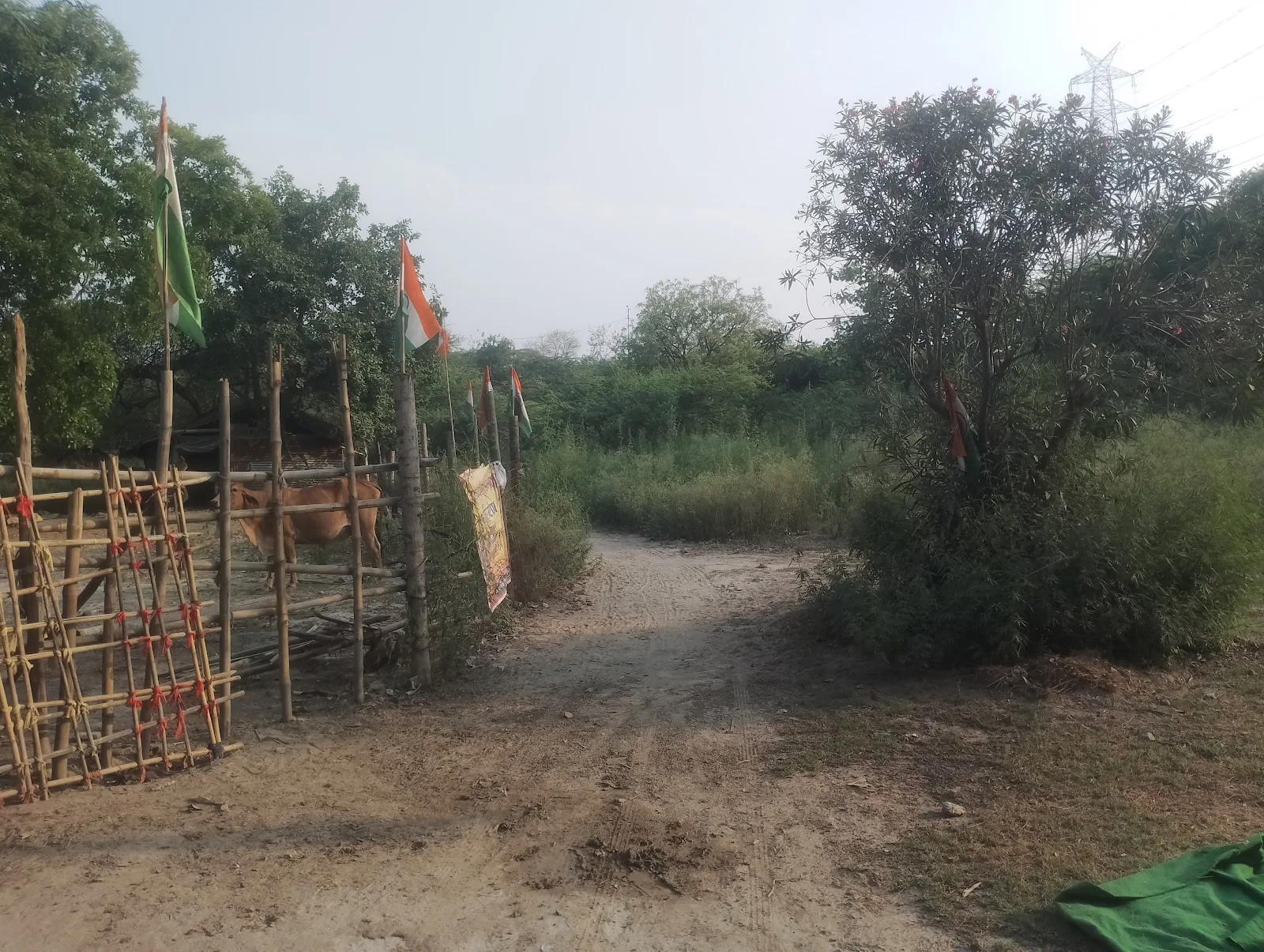 Van Devi gaushala