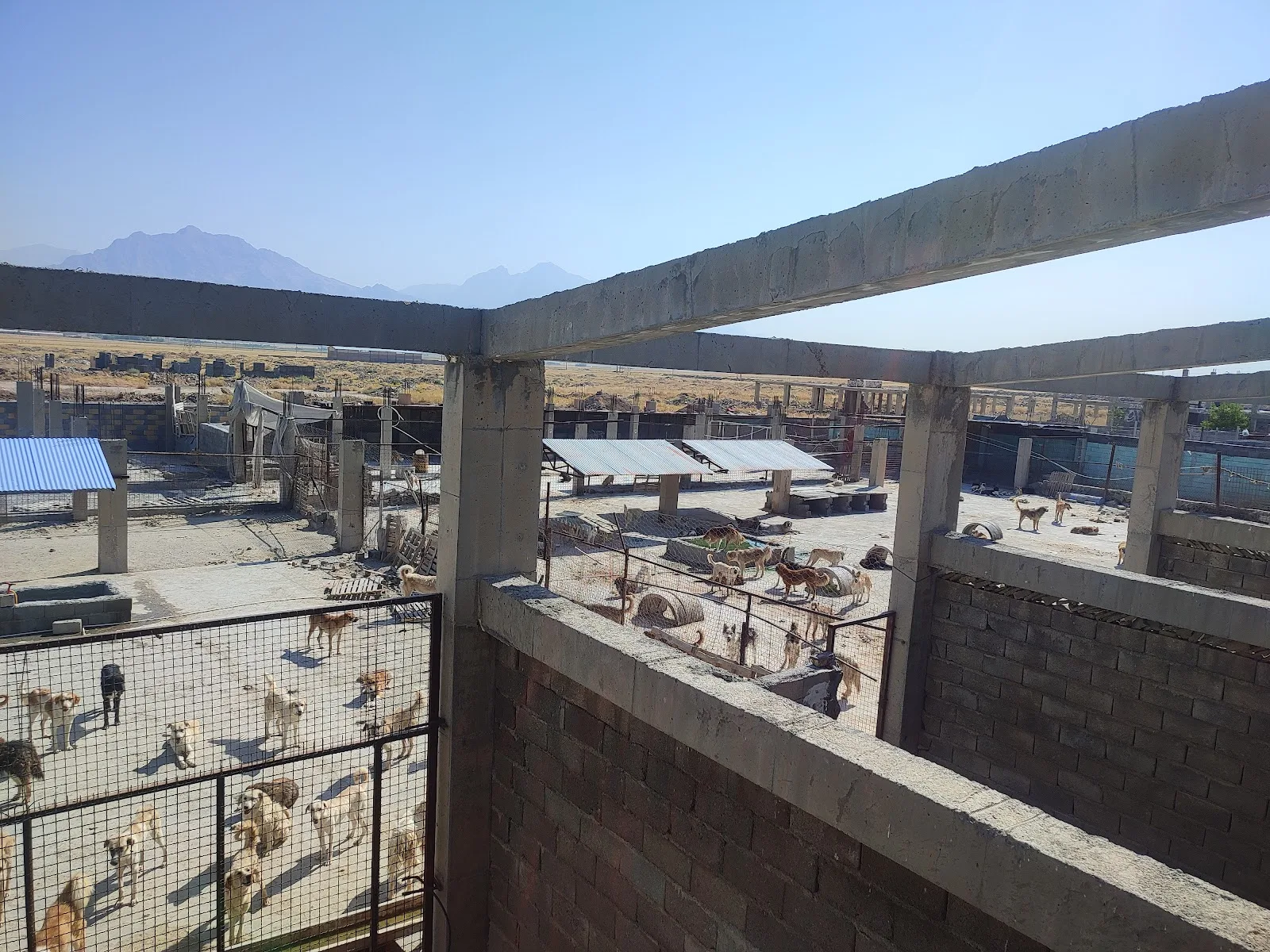 Panah shelter