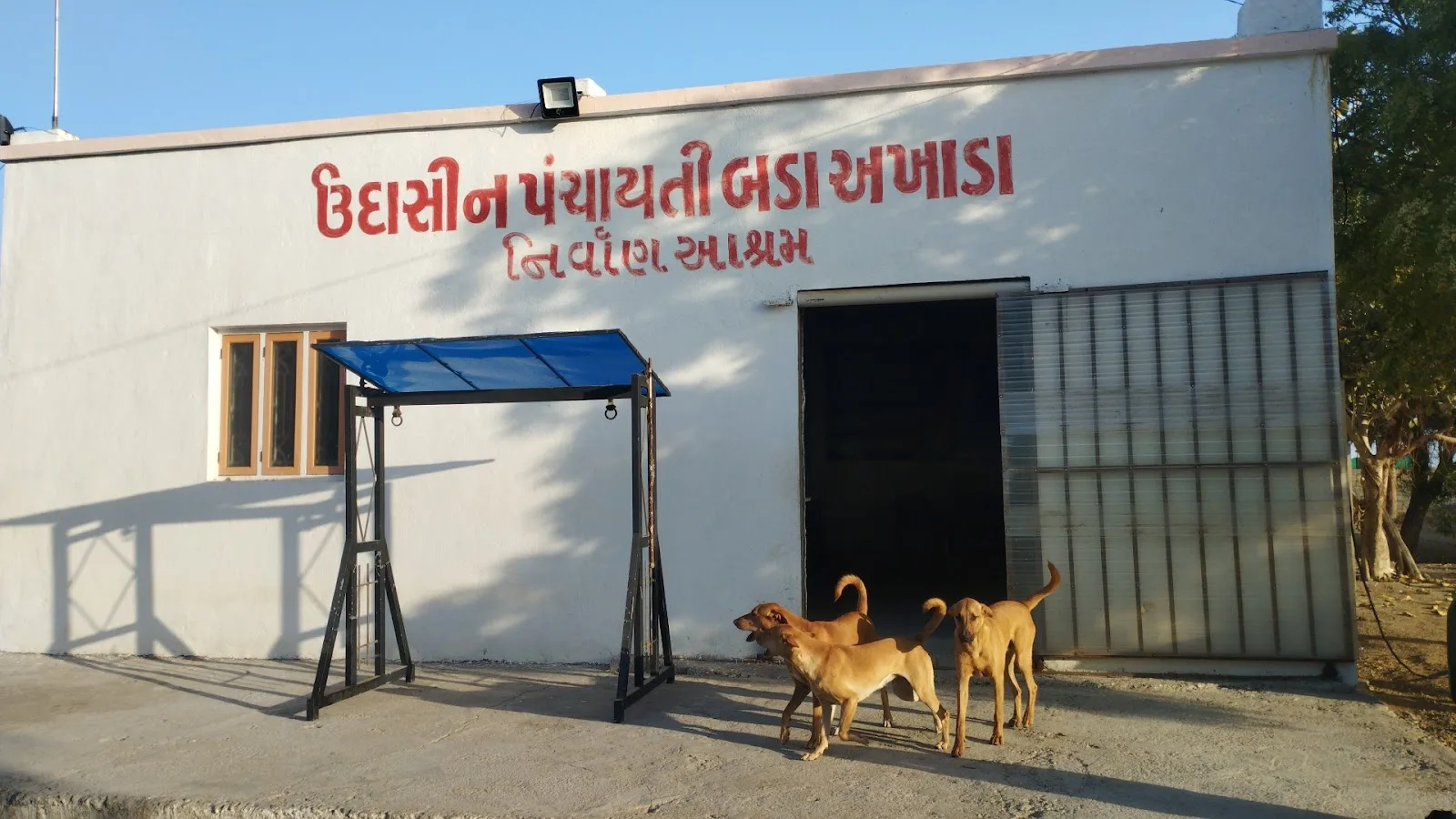 Sadbhavna Animal Shelter