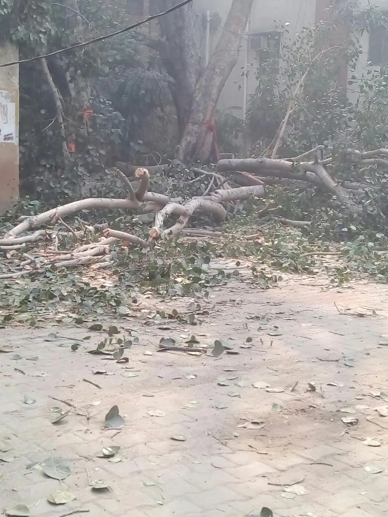 Department Of Forests & Wildlife