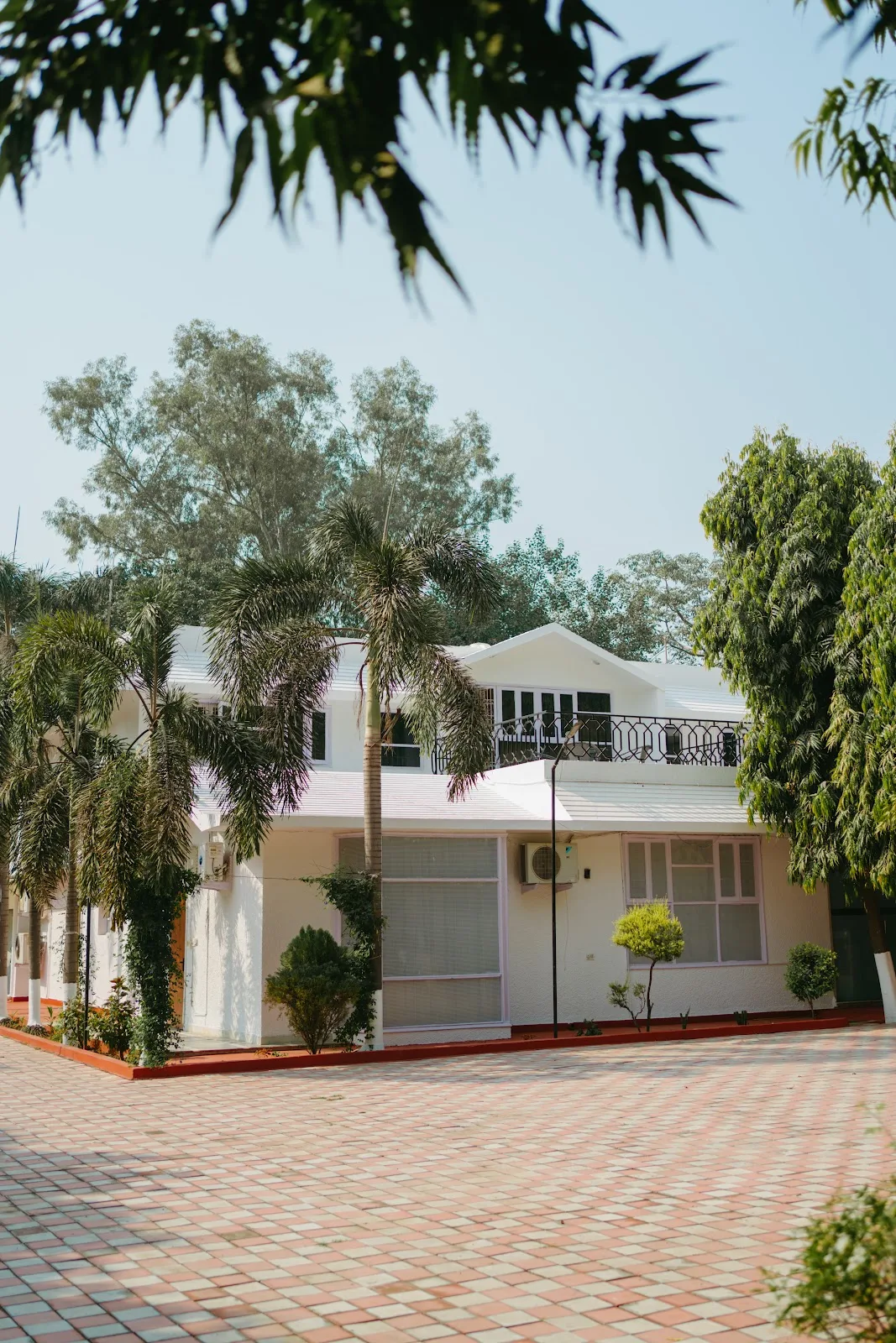 Roar Wellness Rehabilitation Center