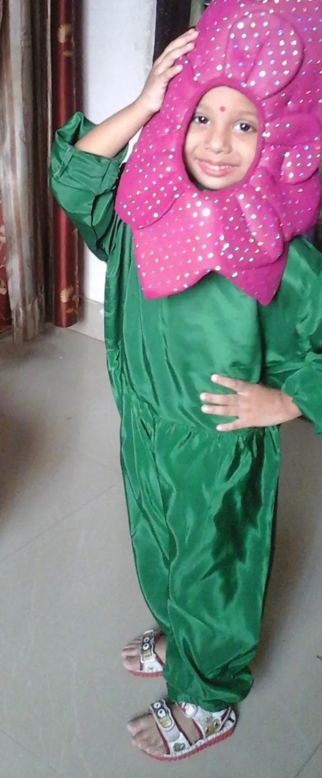 Homely Daycare Centre & Creche Delhi