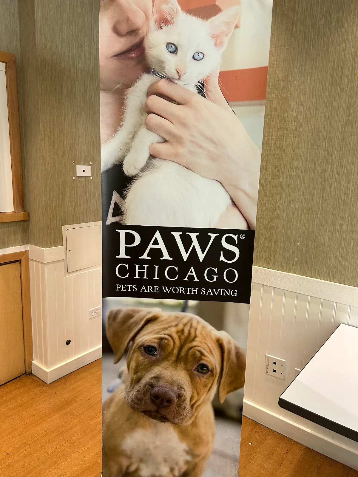 PAWS Chicago