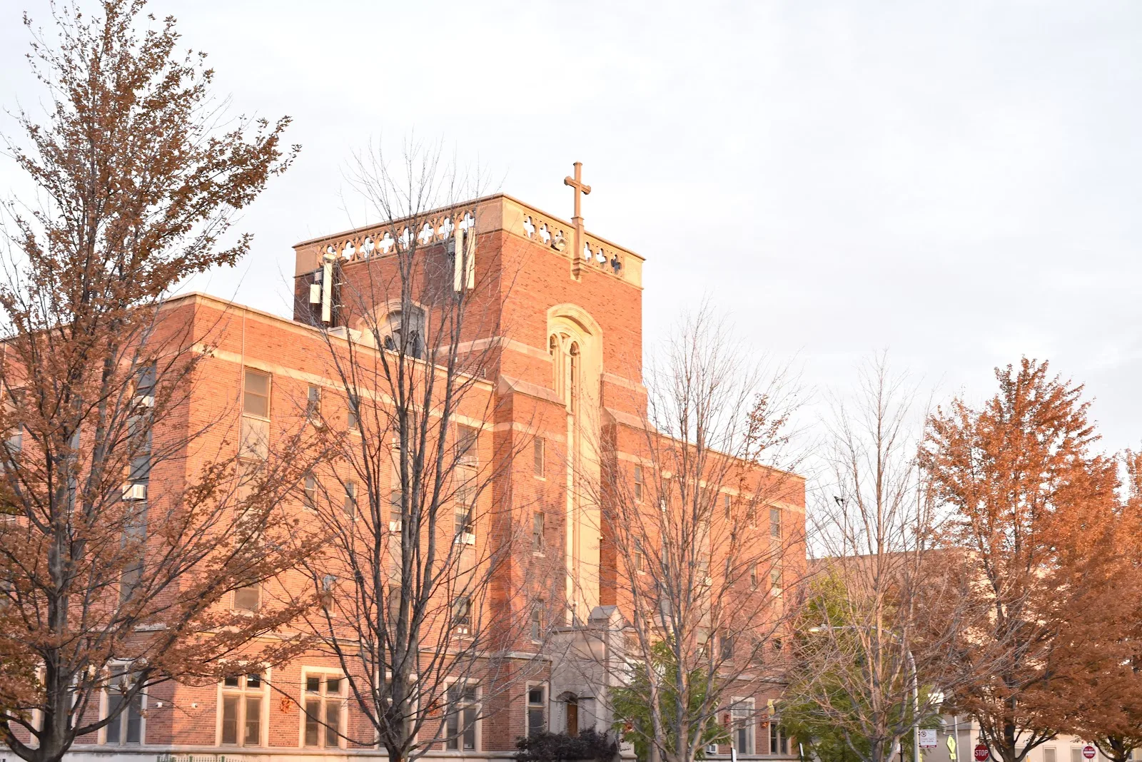 Olive Branch Mission
