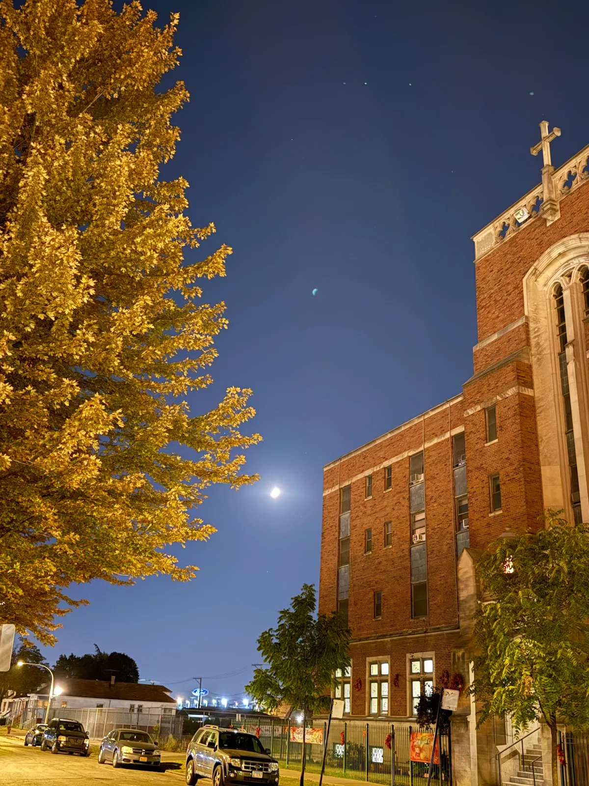 Olive Branch Mission