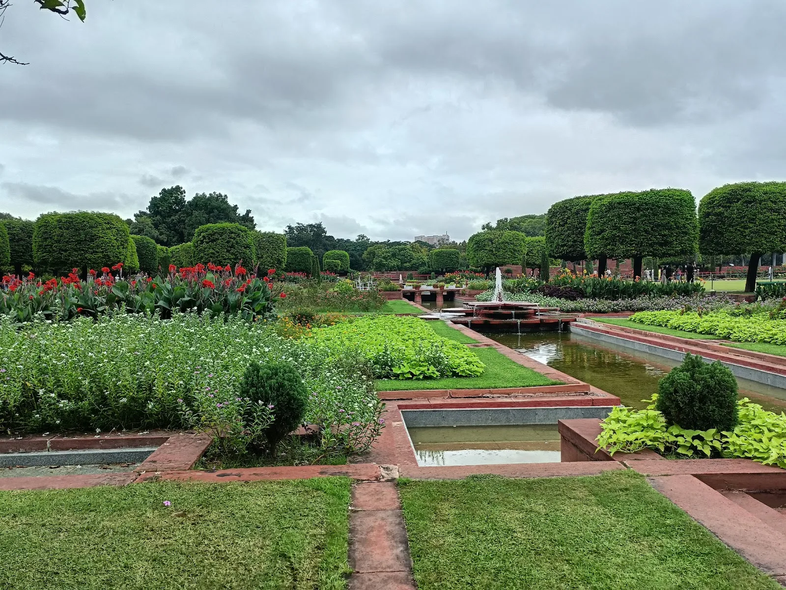 Bonsai Garden