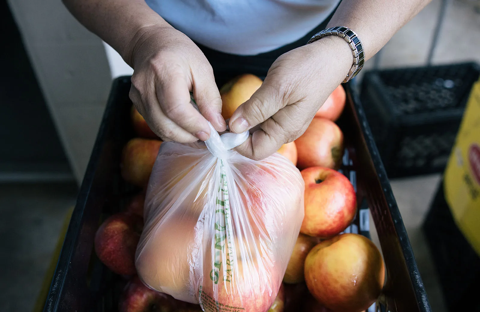 Feeding America National Organization