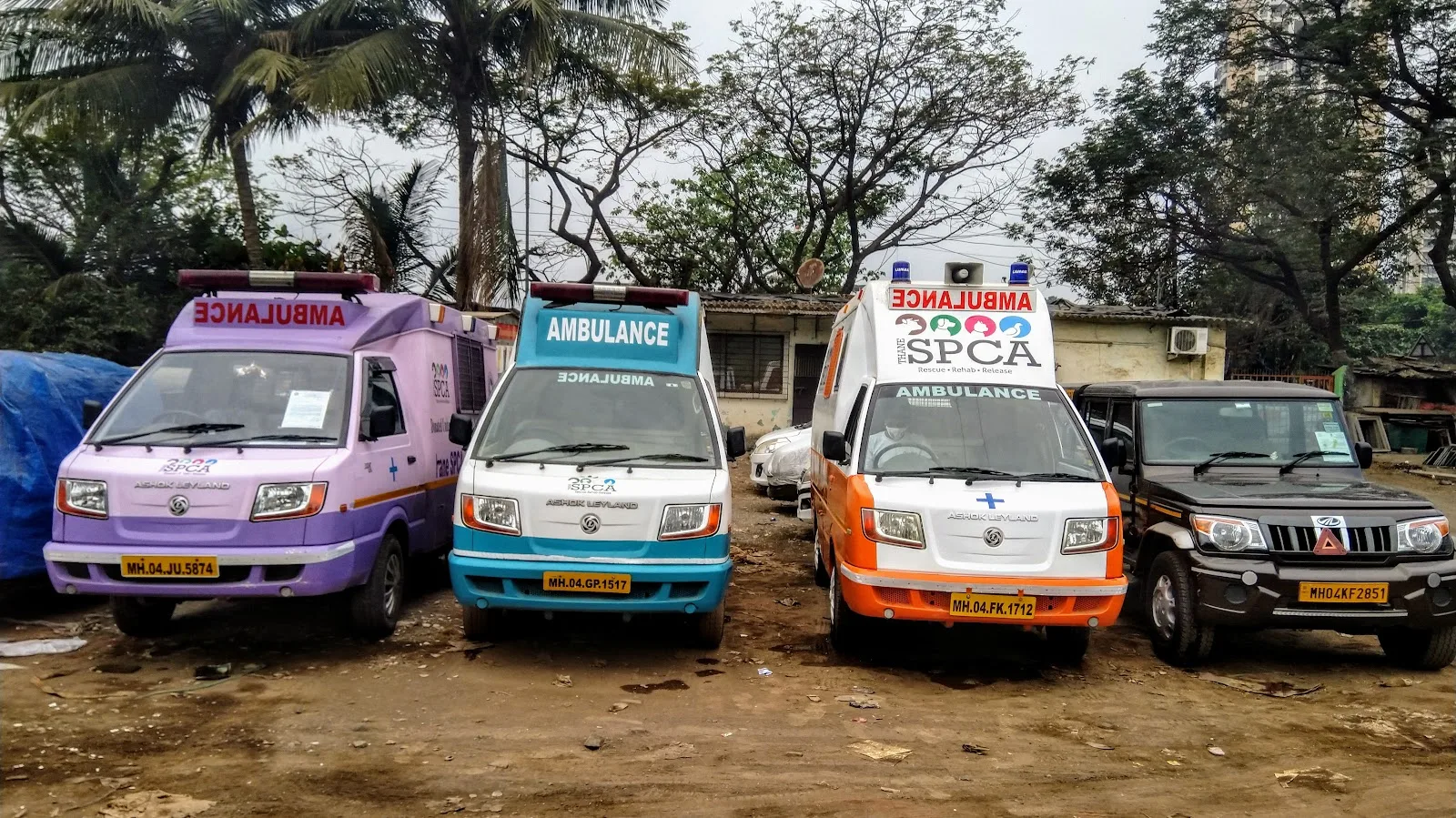 Thane CPCA (Community for The Protection and Care of Animals)