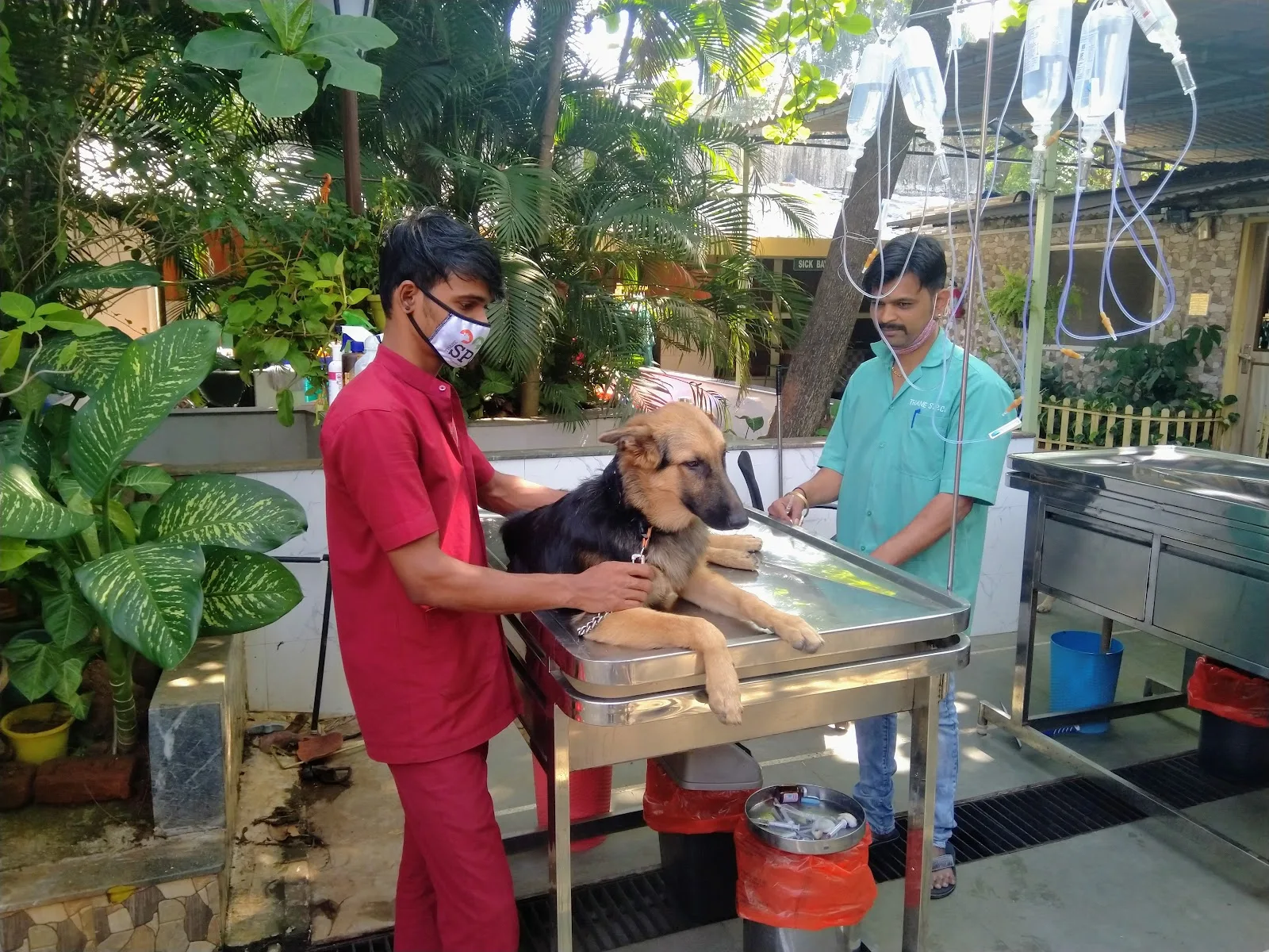 Thane CPCA (Community for The Protection and Care of Animals)