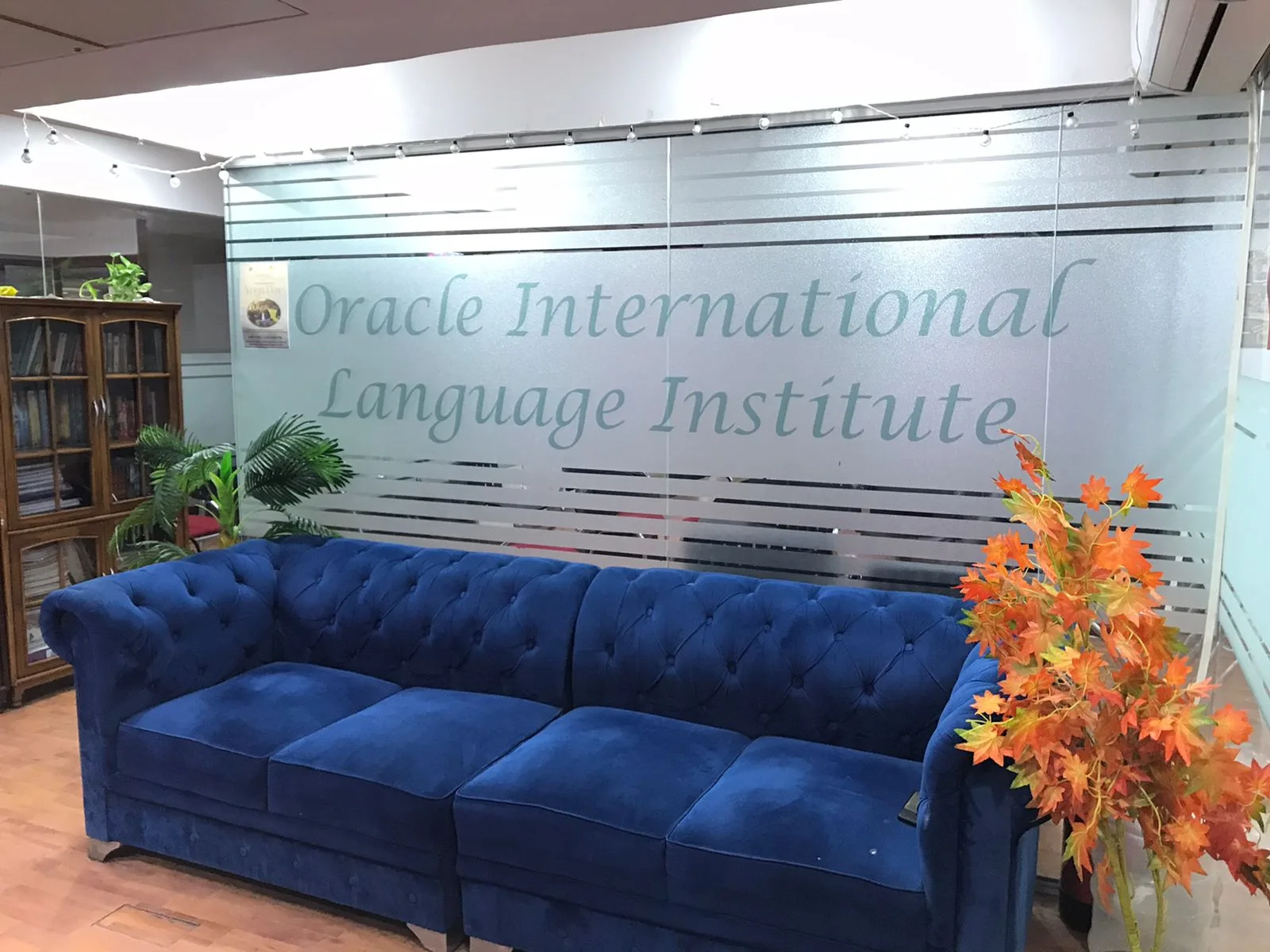 Oracle International Language Institute – Best French, German, Spanish, IELTS, English, Chinese & Korean Classes in Delhi