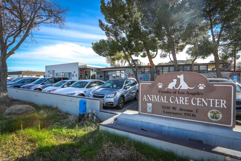 Los Angeles County Animal Care and Control