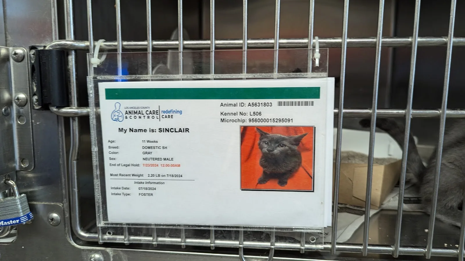 Los Angeles County Animal Care and Control