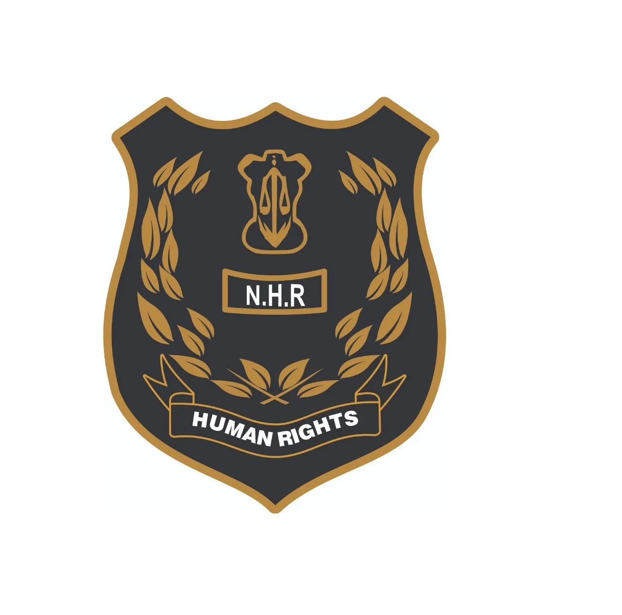 National Human Rights Reform Organization ( N.H.R ) All India