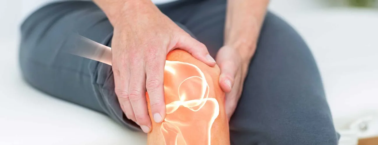 The Physio Care