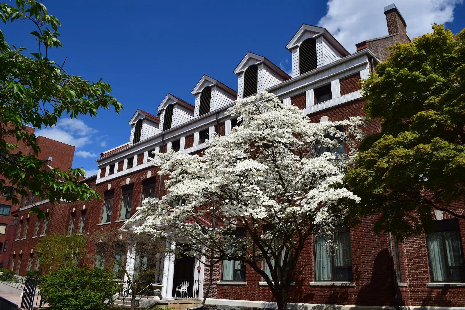 RiverSpring Assisted Living