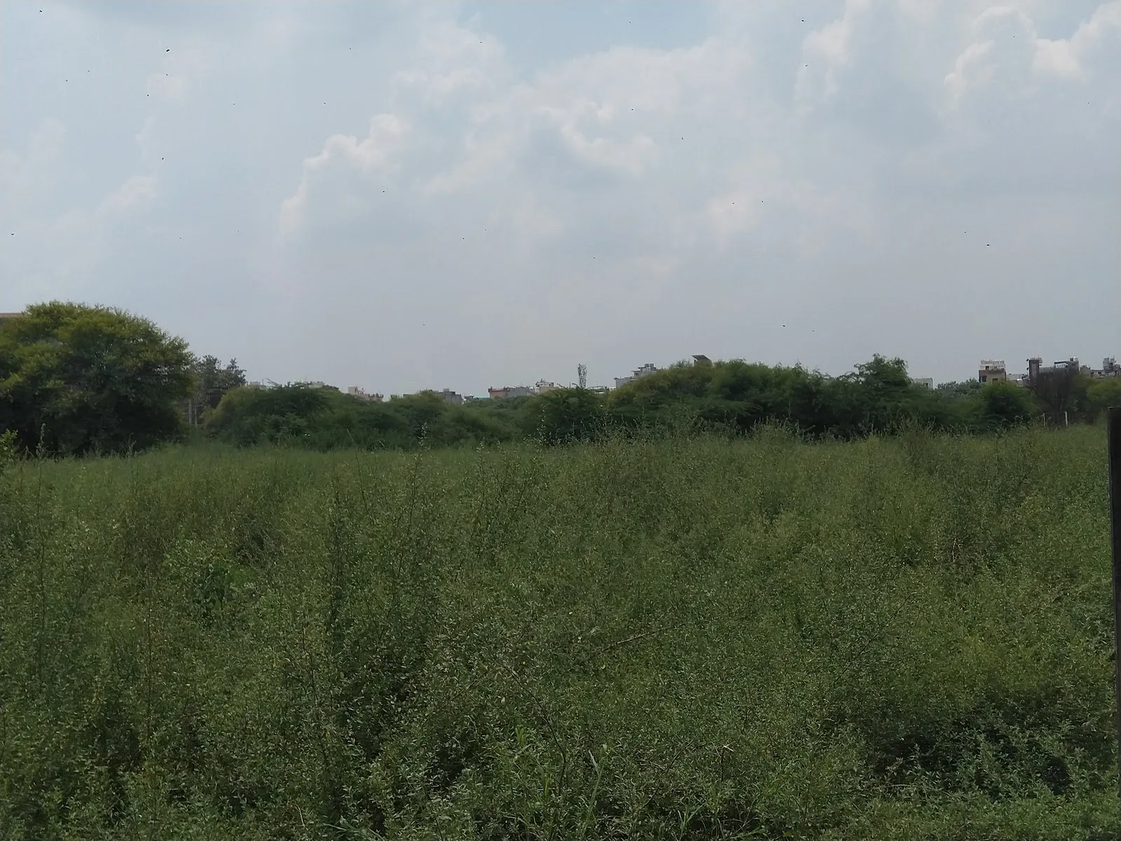 SITE FOR BLIND SCHOOL