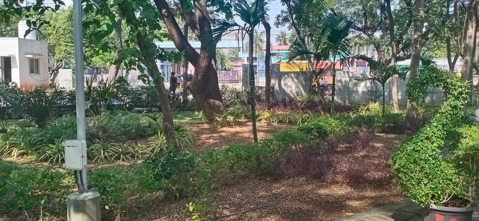 (TNSAMB) Tamilnadu Agricultural Marketing & Agri Business