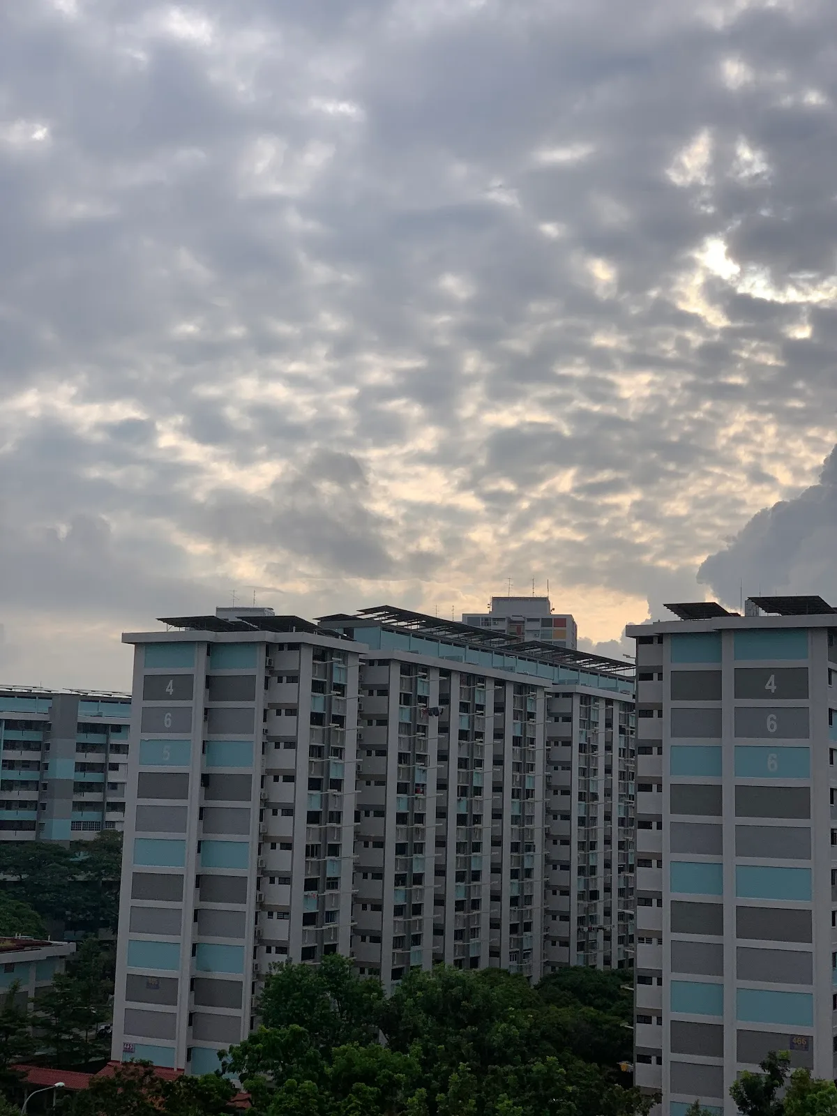 TOUCH Home Care (Ang Mo Kio)