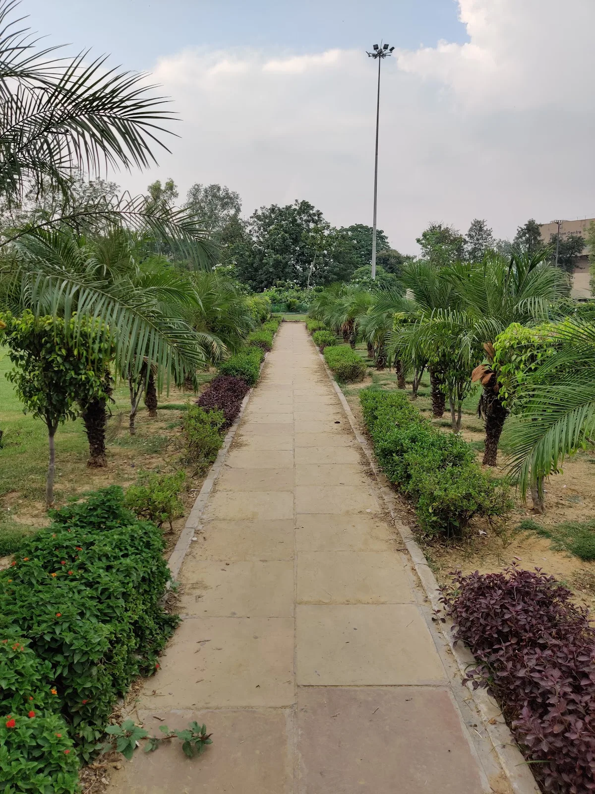 Mandi House Gol Chakkar, New Delhi