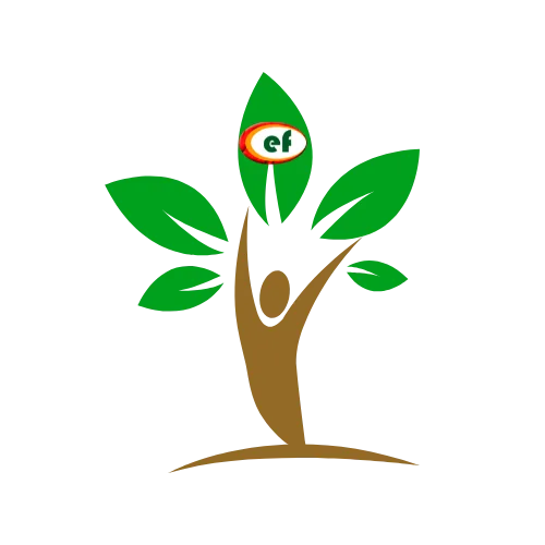 EnvironFocus