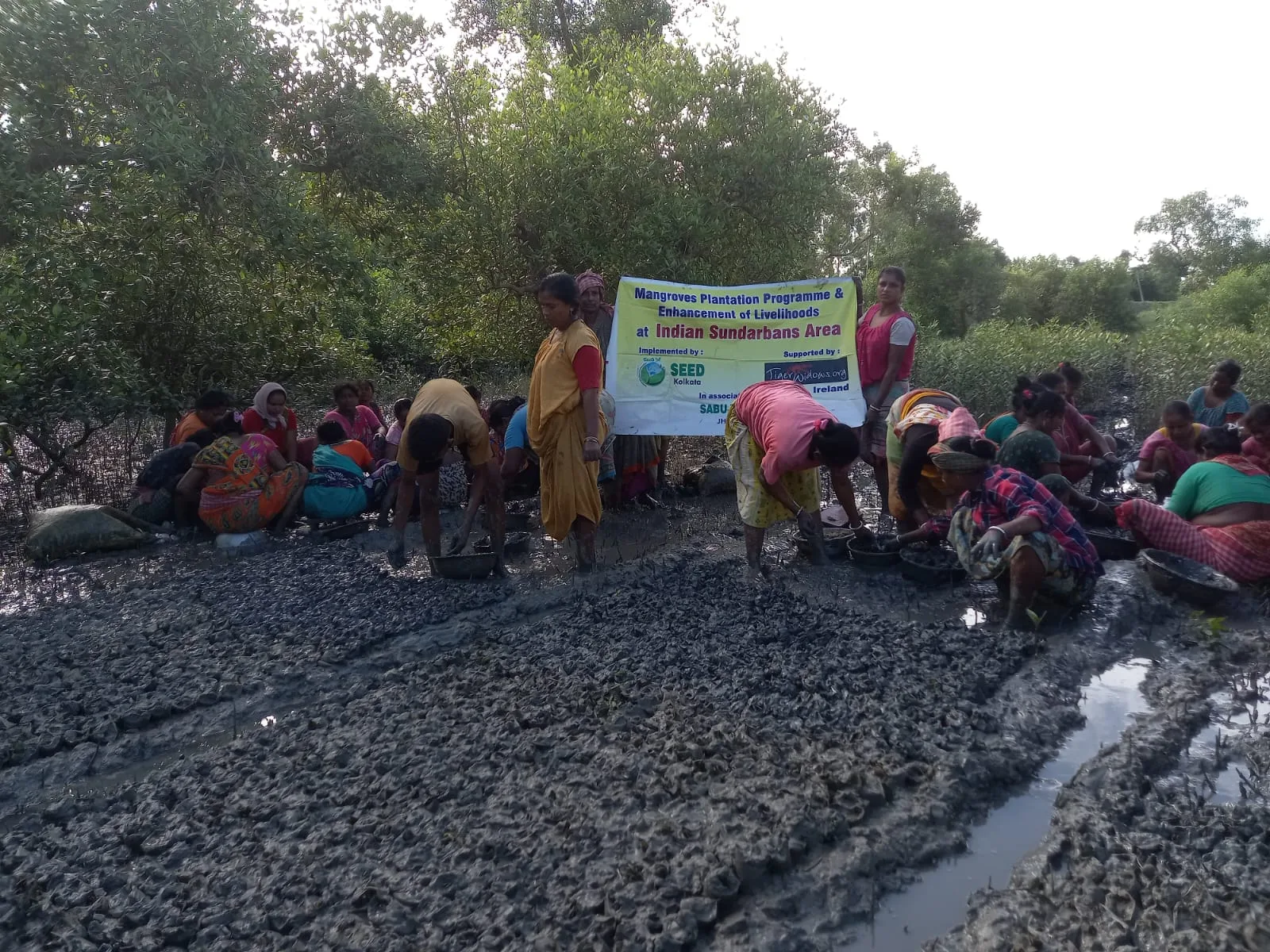NGO in Kolkata - SEED