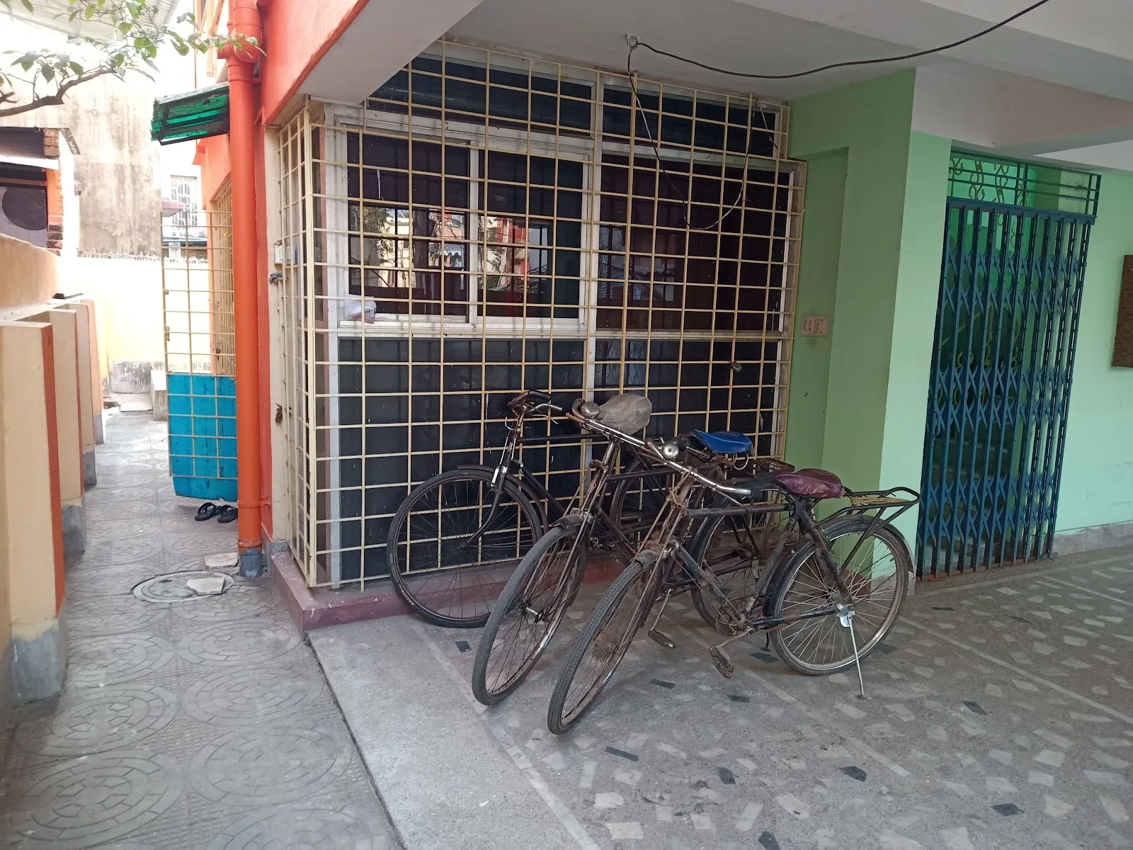 NGO in Kolkata - SEED