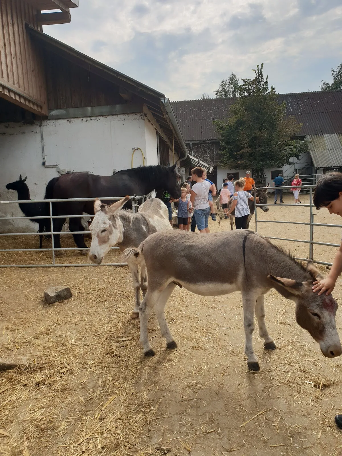 AnimalSpirit - Zentrum für Tiere in Not