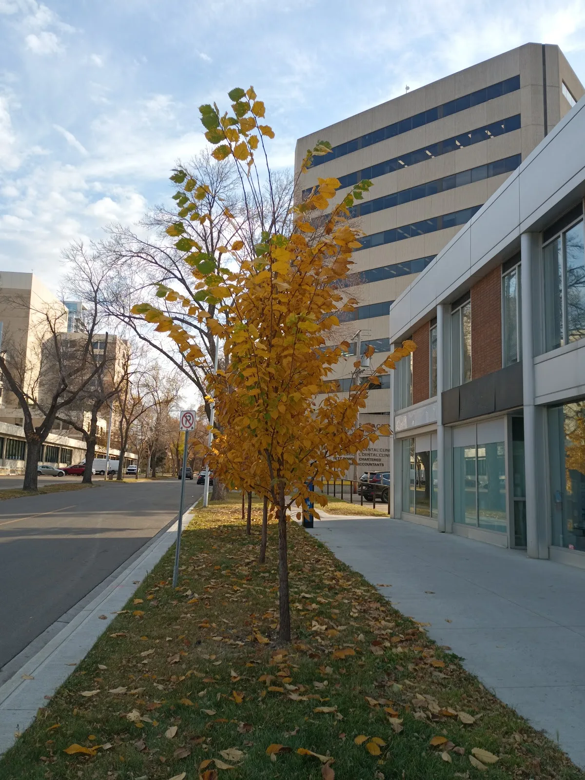 Edmonton Social Planning Council