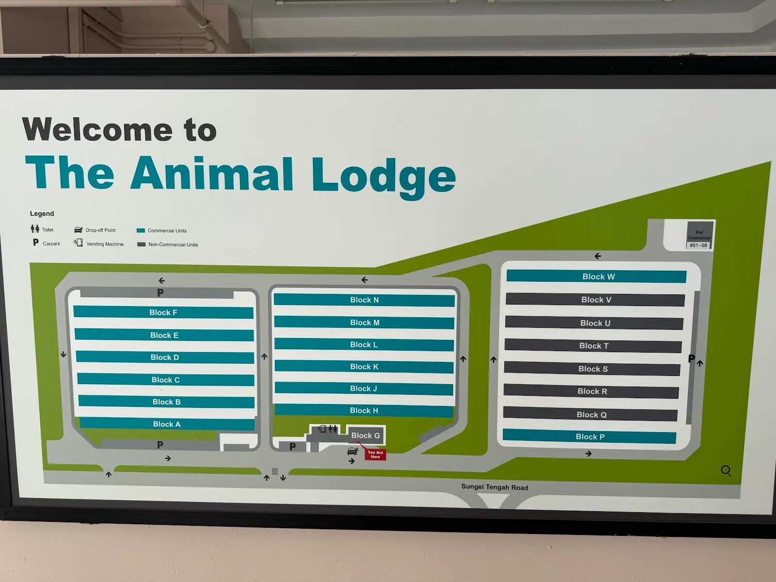The Animal Lodge