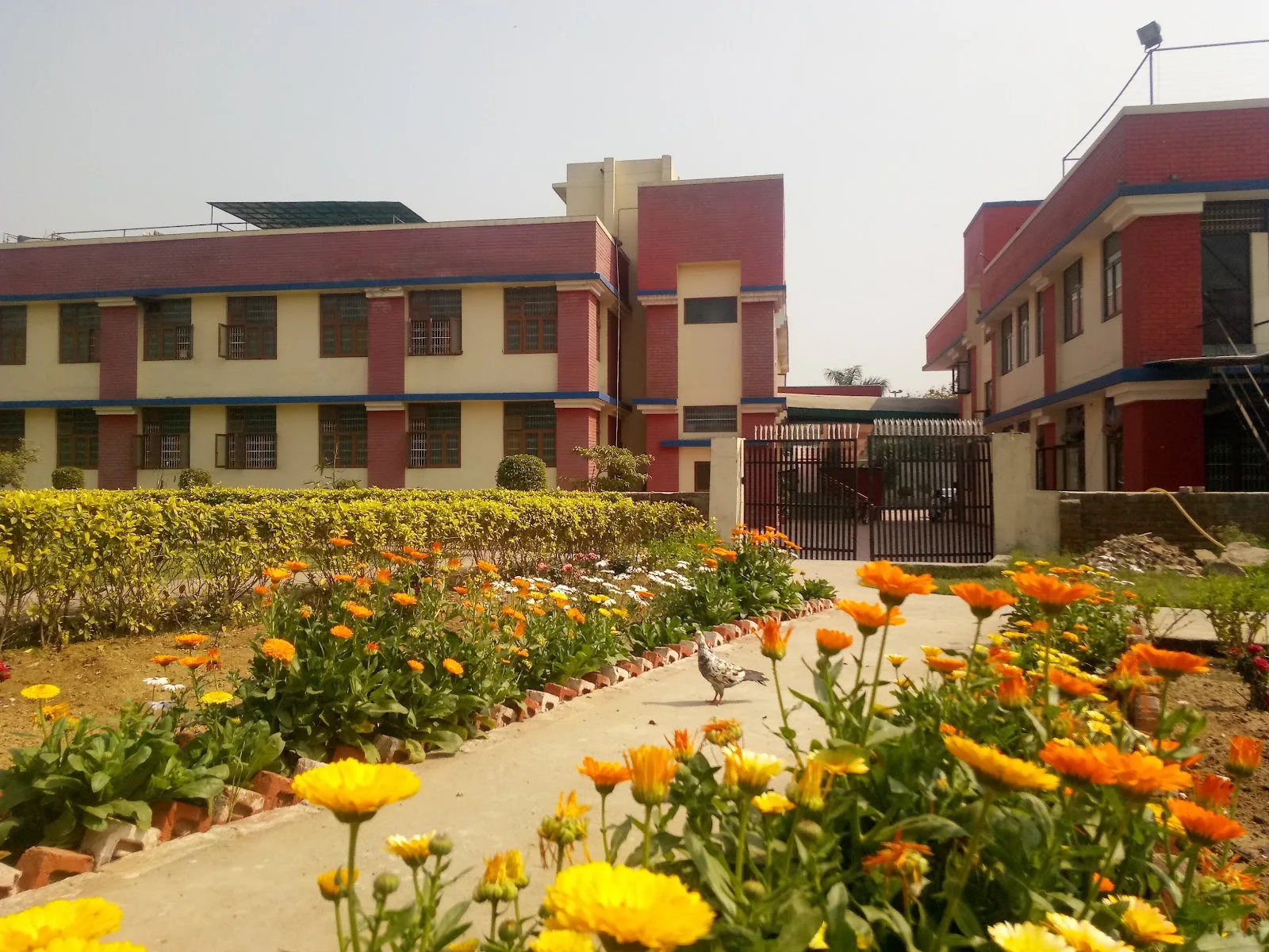 Missionaries Of Charity Nirmal Hirday