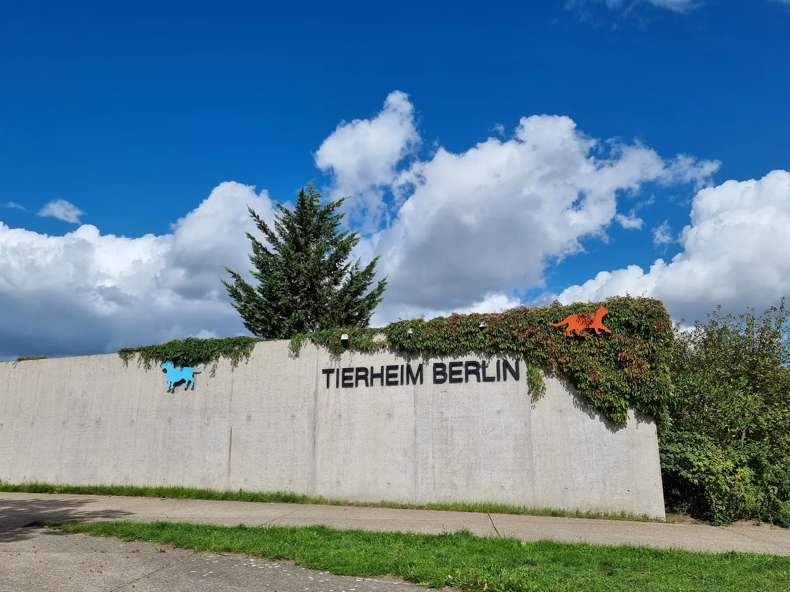 Tierschutzverein für Berlin und Umgebung Corporation e.V.