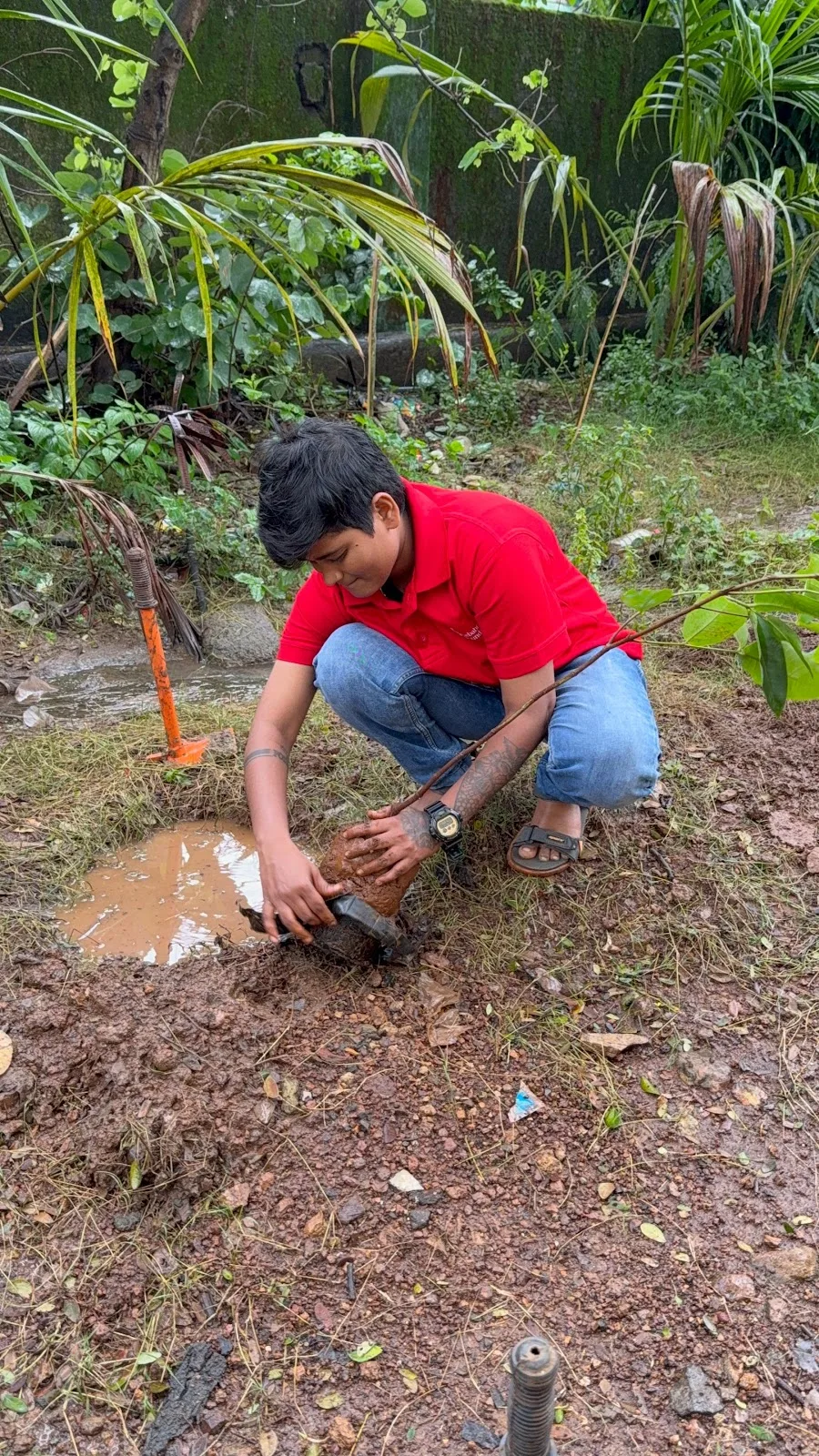 Debabrata Auro Foundation - Best Charitable Trust, NGO in Mumbai