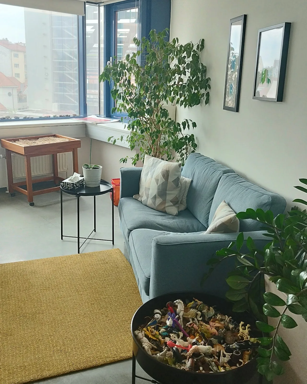 Zebra - Intercultural Center of Counseling and Therapy Center