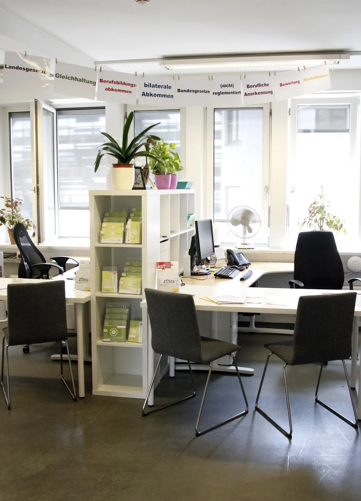 Zebra - Intercultural Center of Counseling and Therapy Center