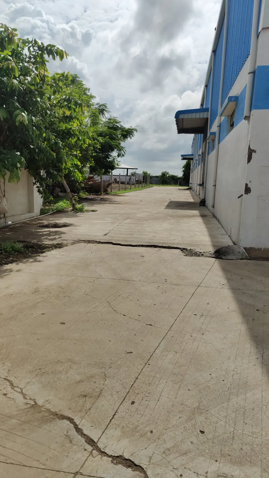Mars Sortex & Warehouse