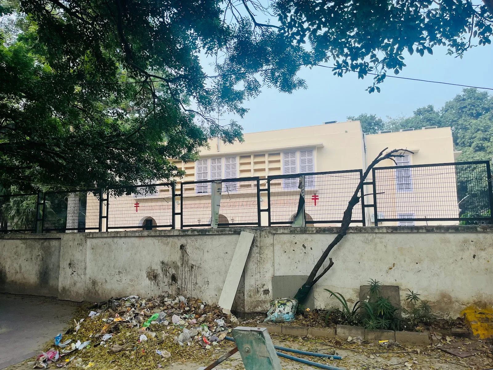 The Tuberculosis Association of India