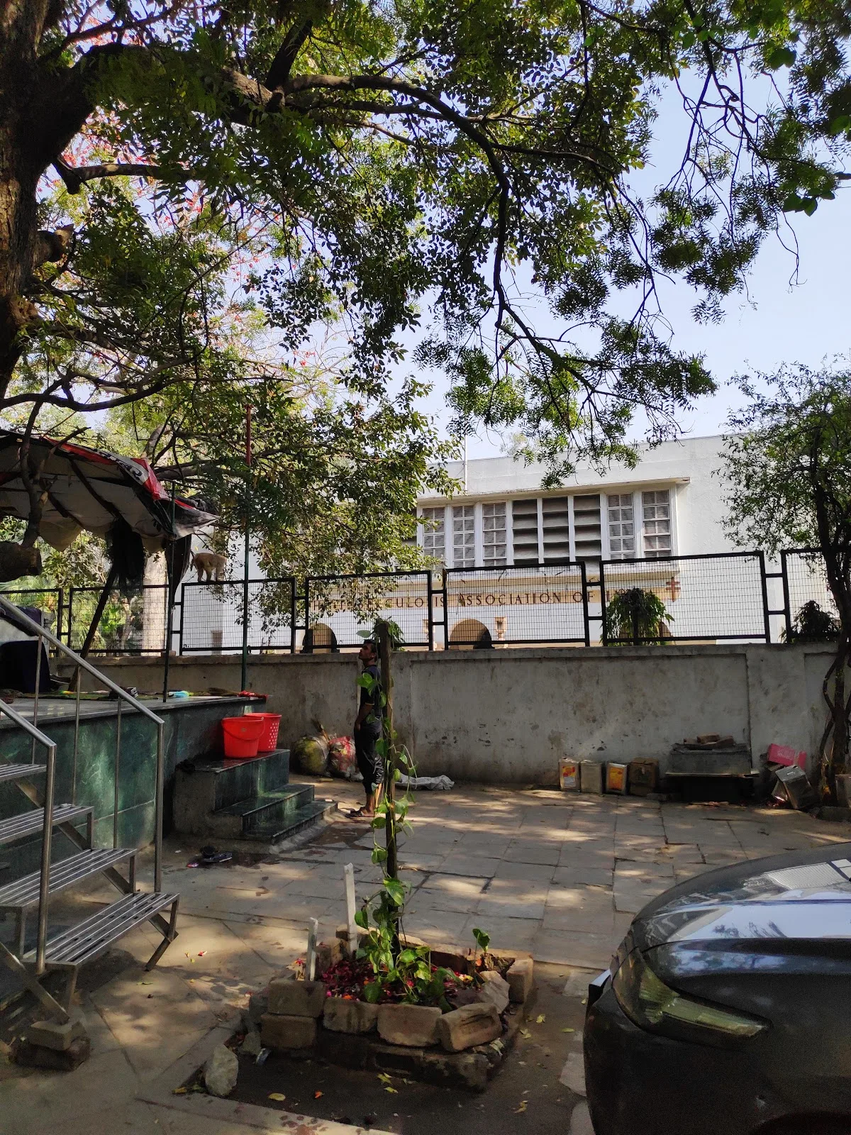 The Tuberculosis Association of India