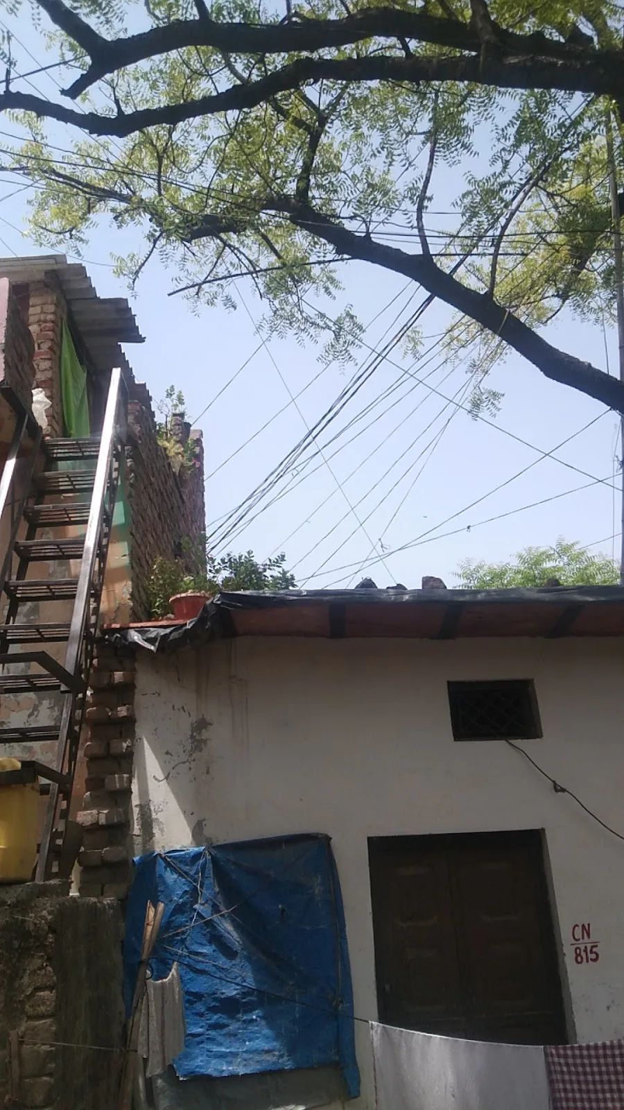 Sanjay Camp