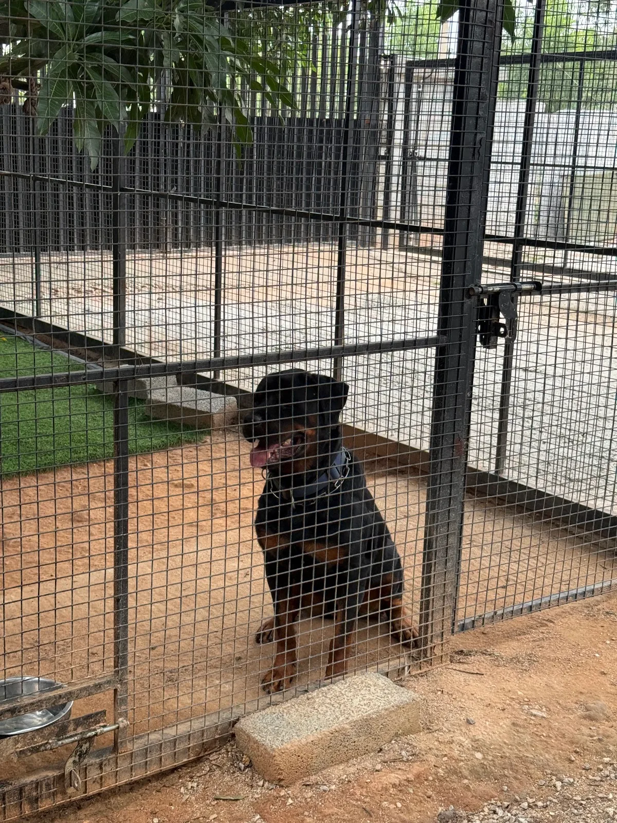 Second Chance Sanctuary