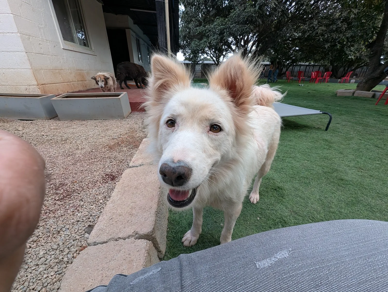 Second Chance Sanctuary