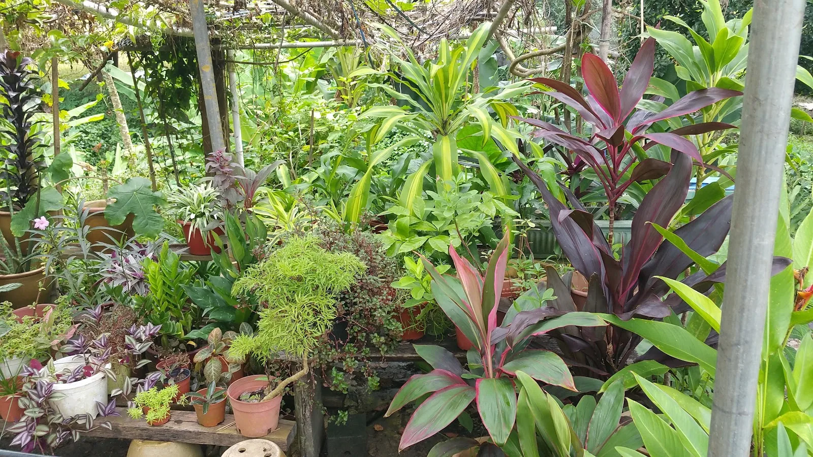 Kampung Kampus
