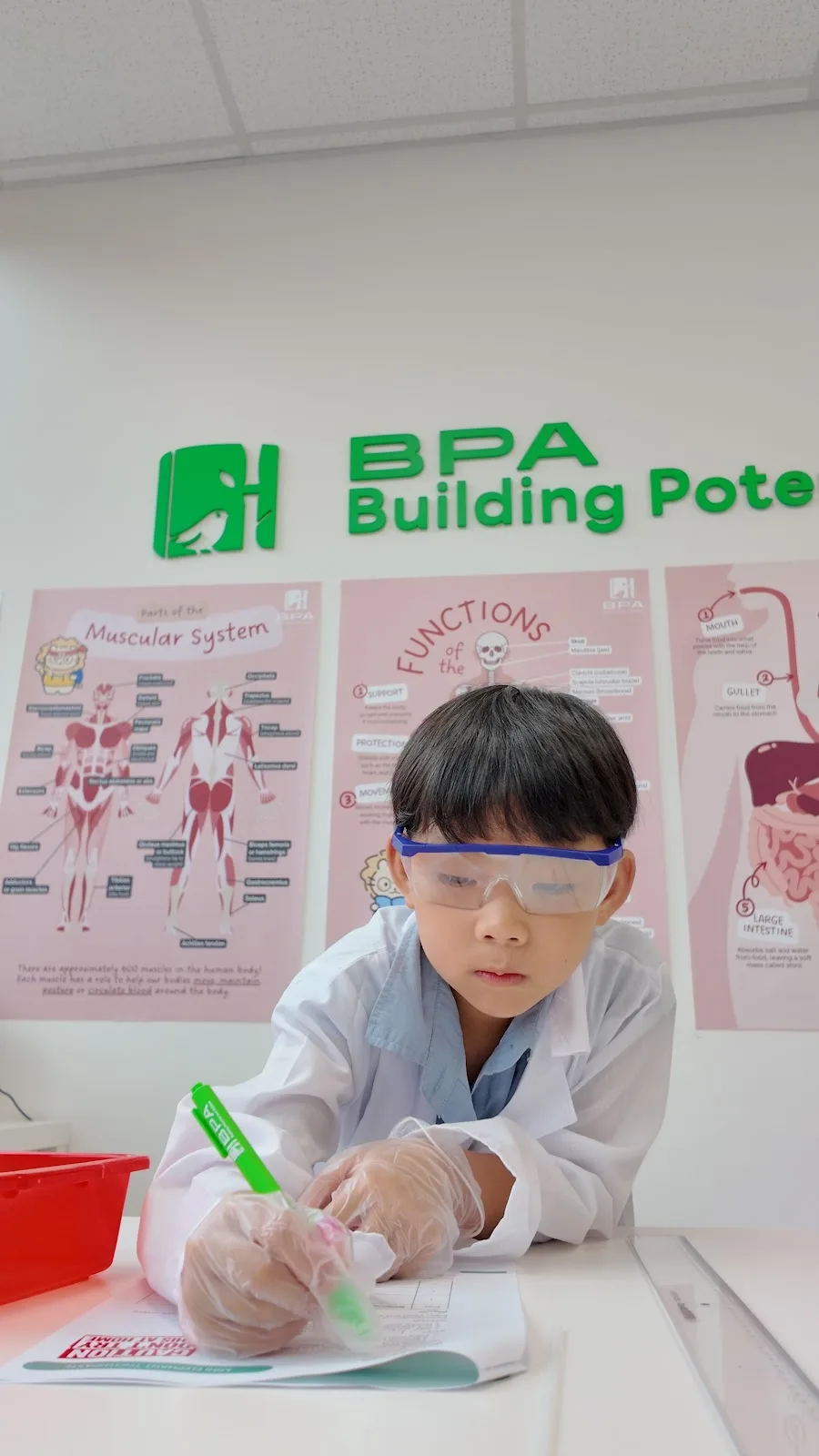 Bamboo Path Academy | One-Stop PSLE Success Hub