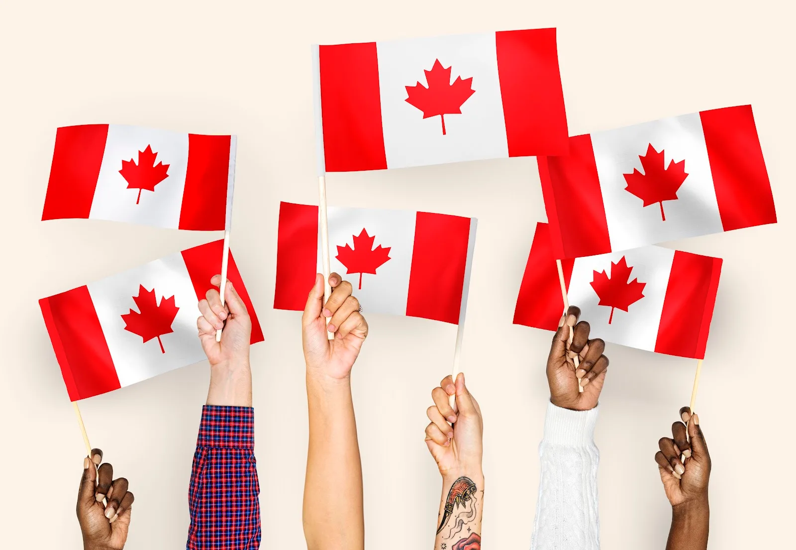 Afro Canadian Development Inc.