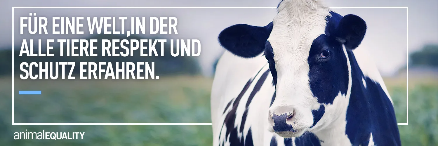 Animal Equality Germany