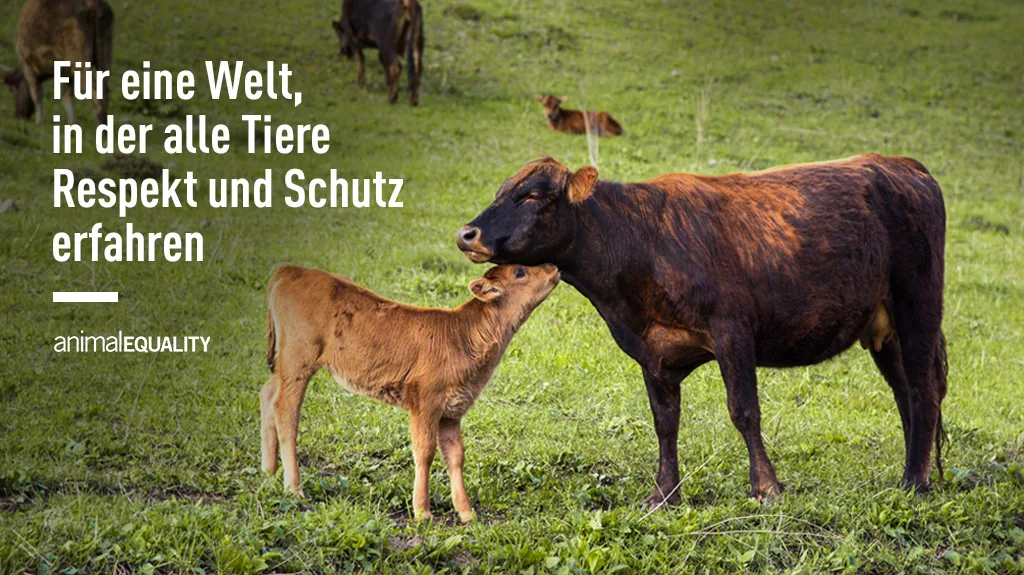 Animal Equality Germany