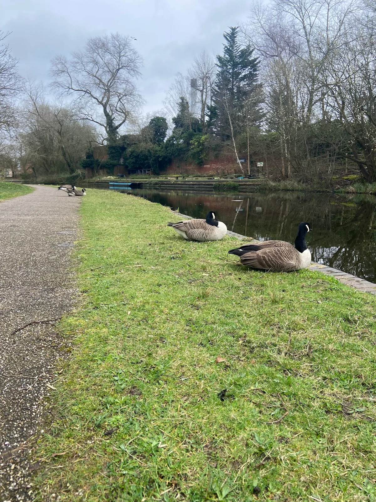 Birmingham & Black Country Wildlife Trust