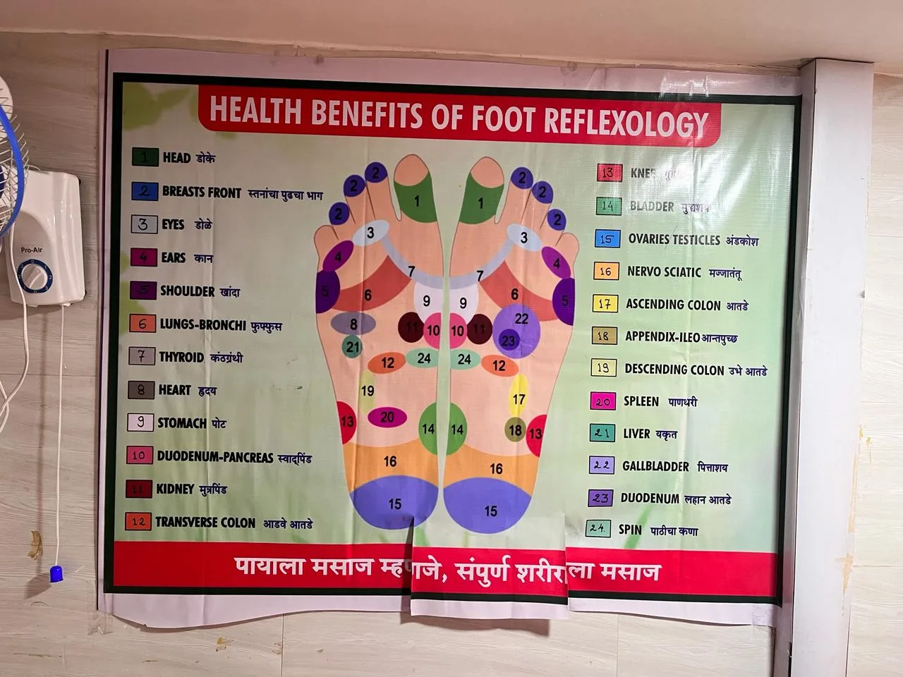 Wellness World