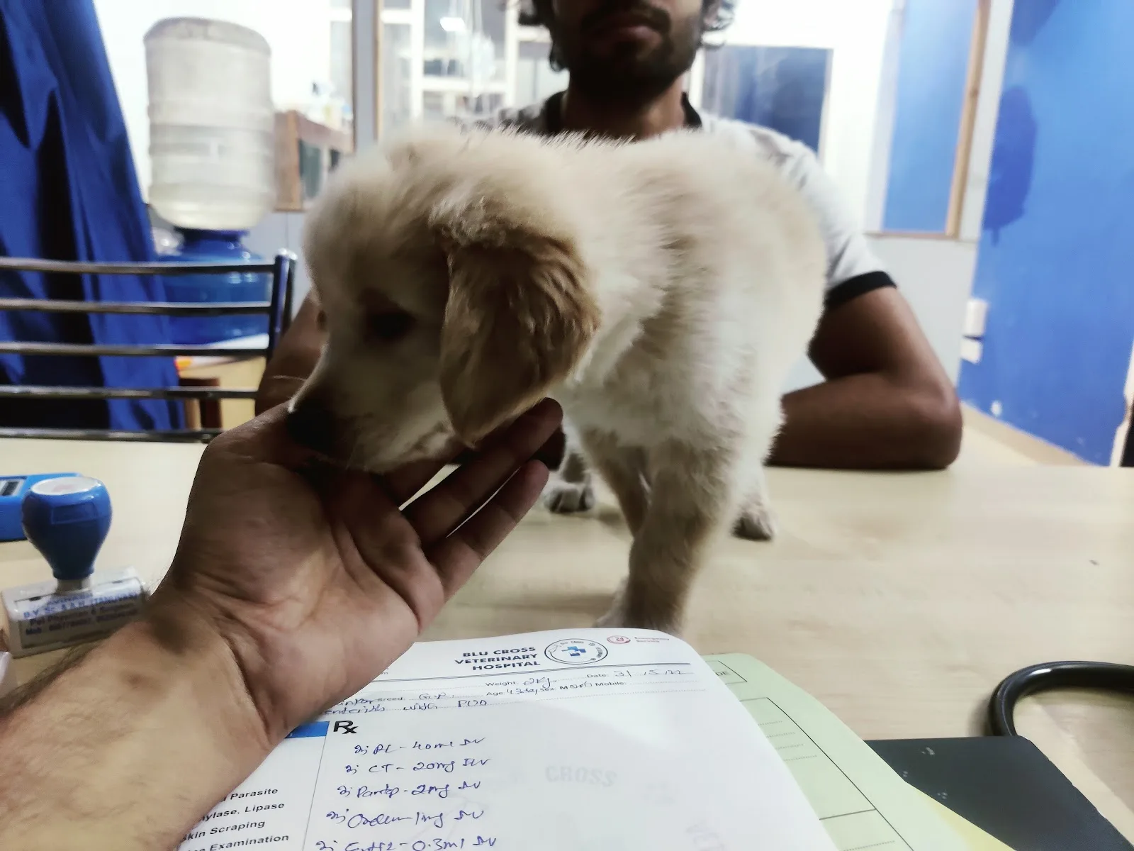BLU CROSS VETERINARY HOSPITAL